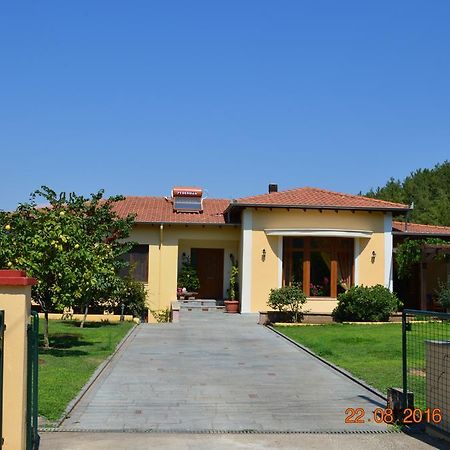 Kavala Villa 360 Degrees Green Amisianá Eksteriør bilde