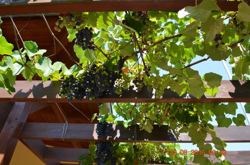 Kavala Villa 360 Degrees Green Amisianá Eksteriør bilde