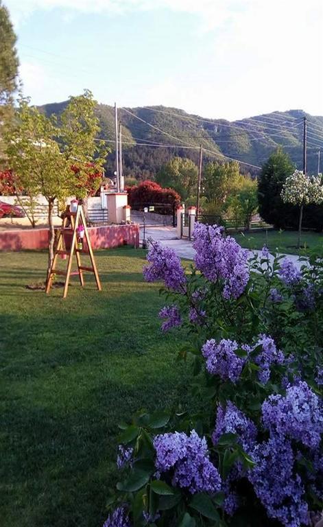 Kavala Villa 360 Degrees Green Amisianá Eksteriør bilde